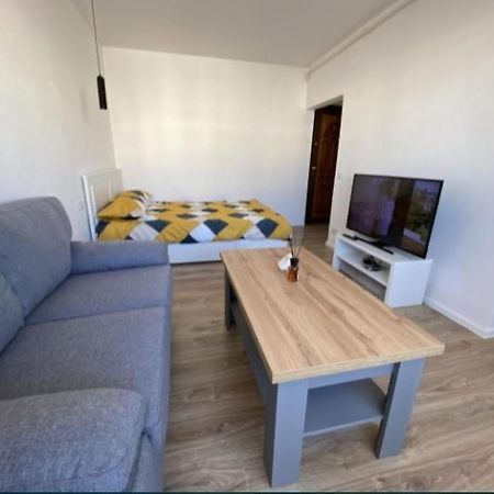 Studio 100G Apartment Targoviste Bagian luar foto